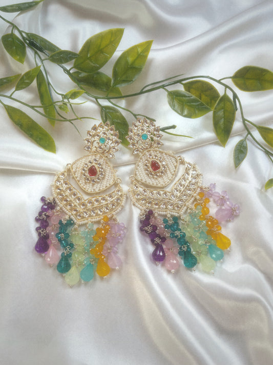 Multicolour Earrings